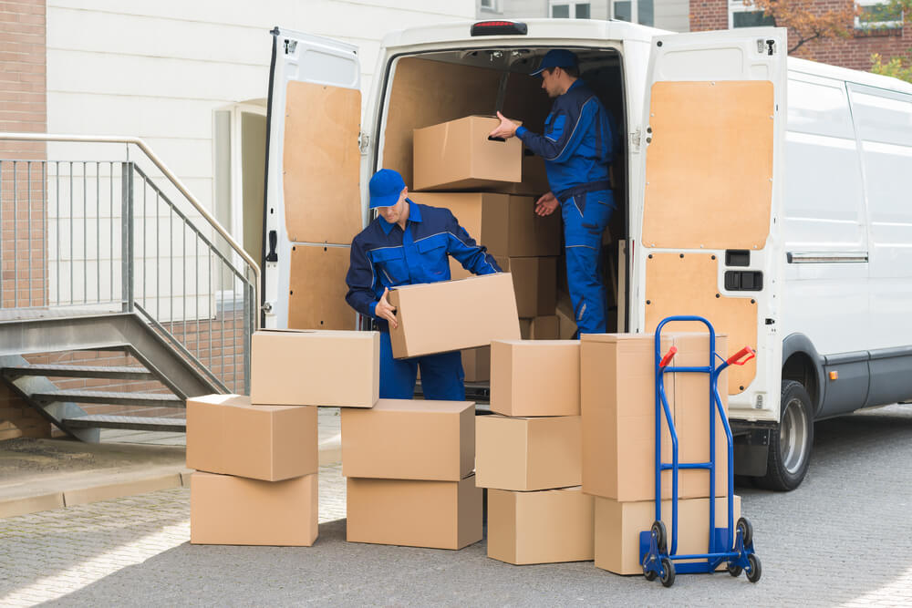 Office Relocation Services Thornton
